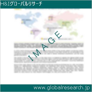 グローバルリサーチ調査レポートのイメージ